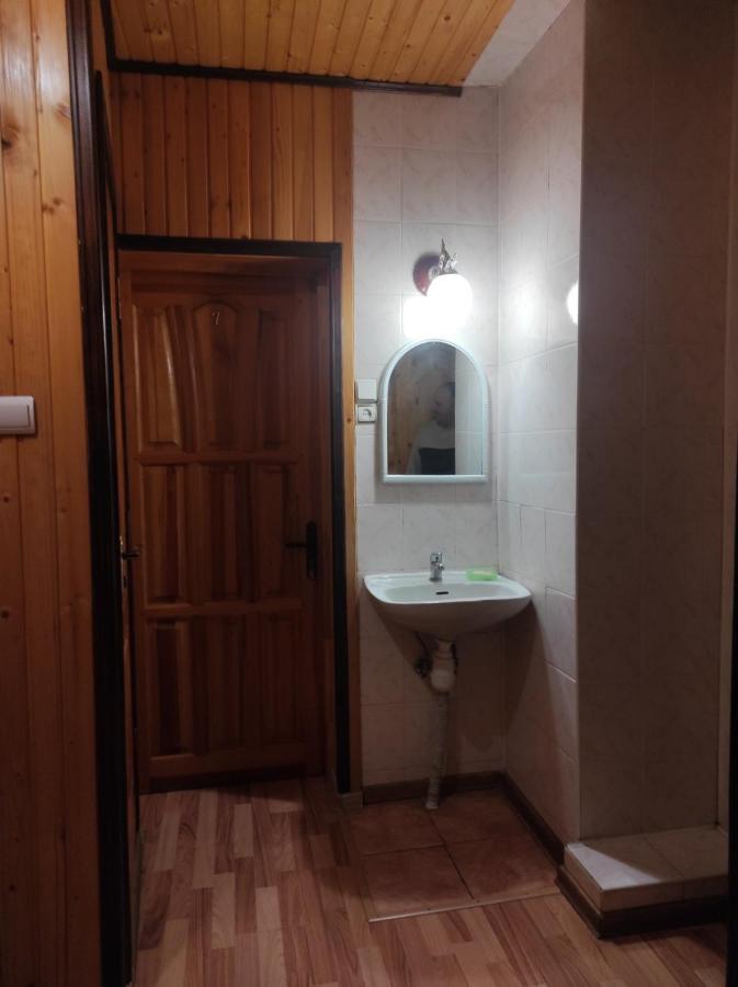 долина карпат 民宿 *